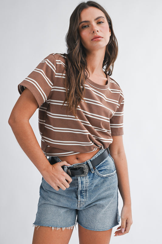 Brown Striped Short Sleeve Boxy Top