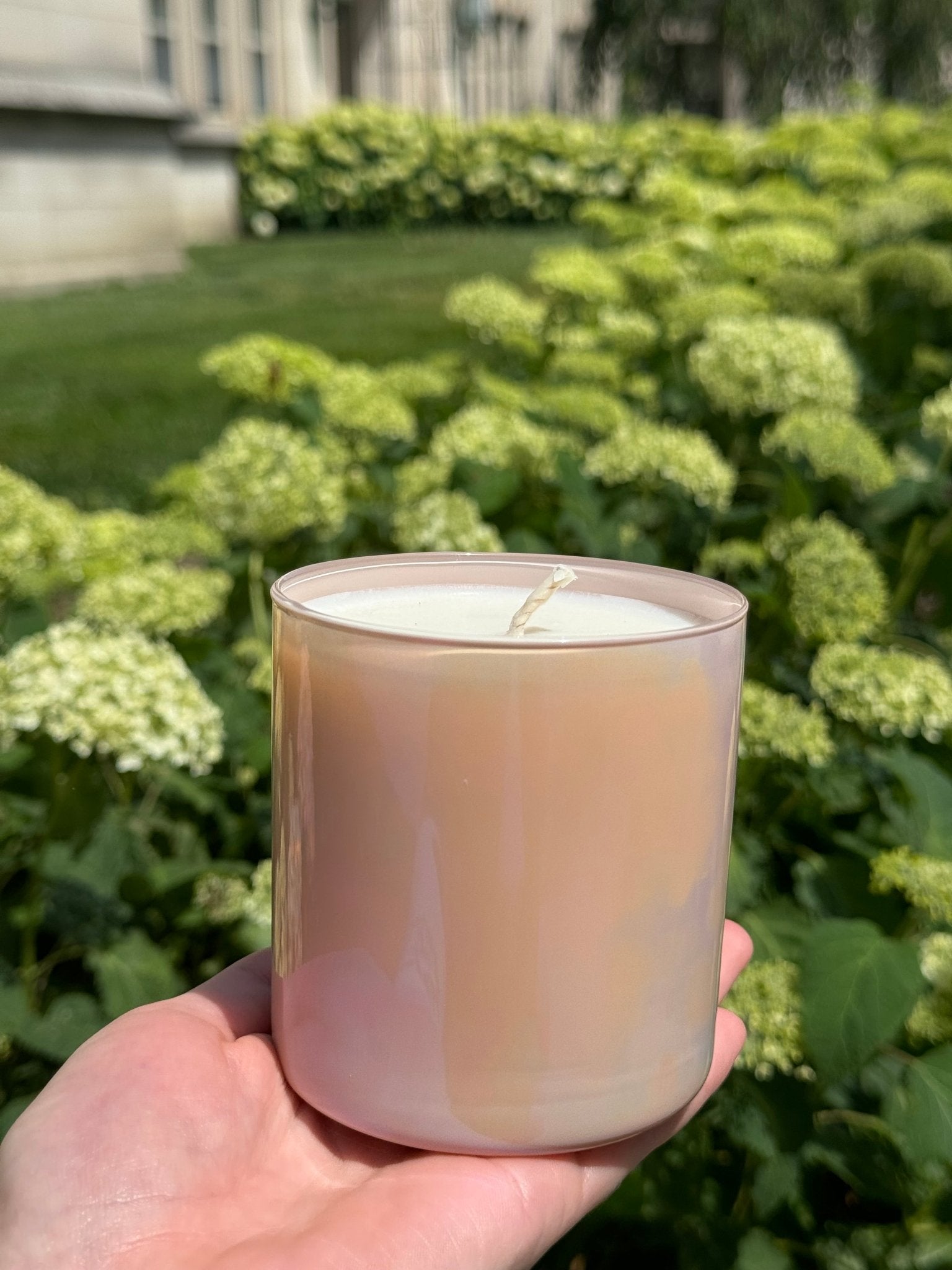 Pearls & Prosecco - Mila Rose Boutique, LLC